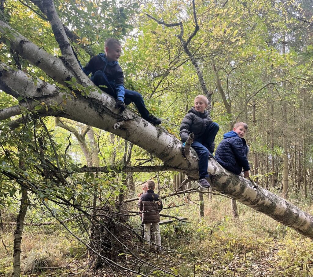 558882319_1503813314565284_7542040220852479318_n